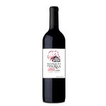 vinho-tinto-marques-de-parra-vivavinho