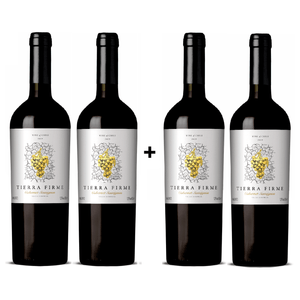 Kit de Vinhos Tintos Chilenos Tierra Firme Cabernet Sauvignon 4 garrafas 750ml