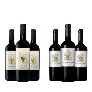 Kit de Vinhos Tintos Chilenos Tierra Firme Cabernet Sauvignon e Carménère 6 garrafas 750ml