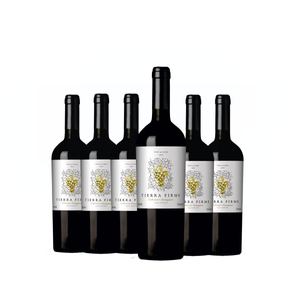 Kit de Vinhos Tintos Chilenos Tierra Firme Cabernet Sauvignon 6 garrafas 750ml