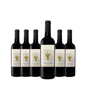Kit de Vinhos Tintos Chilenos Tierra Firme Carménère 6 garrafas 750ml
