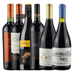 Kit-de-Vinhos-Tintos-SyrahShiraz-6-garrafas-750ml