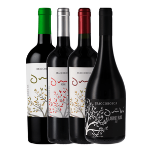 Kit de Vinhos Degustação Uruguai 4 garrafas 750ml