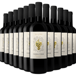 Kit-de-Vinhos-Tintos-Chilenos-Tierra-Firme-Carmenere-12-garrafas-750ml