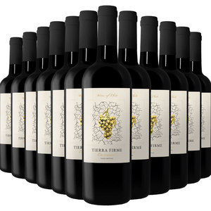 Kit de Vinhos Tintos Chilenos Tierra Firme Carménère 12 garrafas 750ml