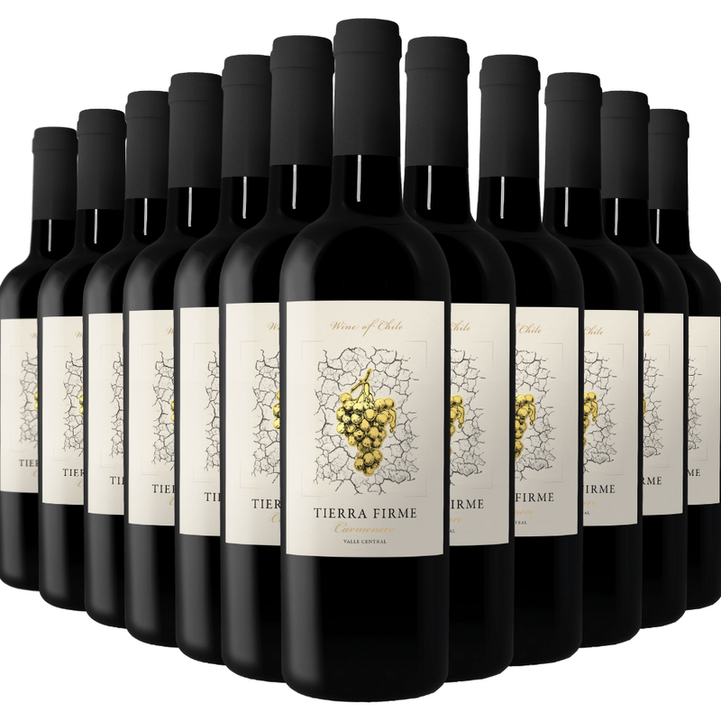 Kit-de-Vinhos-Tintos-Chilenos-Tierra-Firme-Carmenere-12-garrafas-750ml