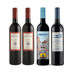 Kit de Vinhos Tintos Portugueses Casa Santos Lima