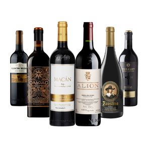 Kit de Vinhos Tintos Espanhóis Reis da Espanha III