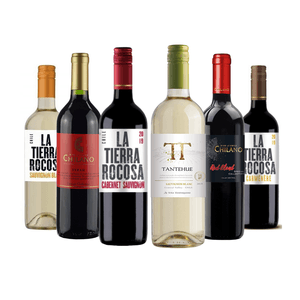 Kit de Vinhos Chilenos Mix 6 garrafas 750ml