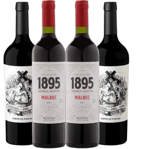 Kit com 4 Vinhos Tintos Argentinos Norton e Cordero 750ml