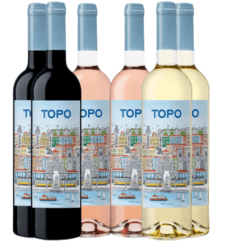 kit-de-vinhos-topo-mix-c-6-garrafas-750ml