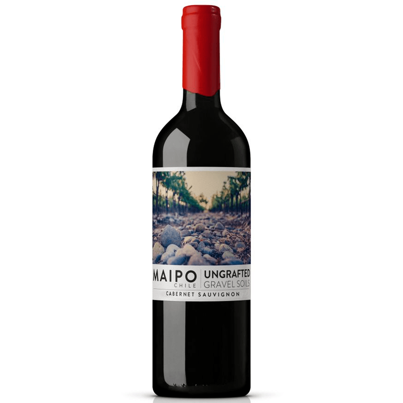 Vinho-Tinto-Chileno-De-Martino-Ungrafted-Gravel-Soils-Maipo-Cabernet-Sauvignon