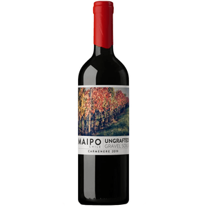 Vinho Tinto Chileno Ungrafted Gravel Soils Maipo Carmenere  750ml