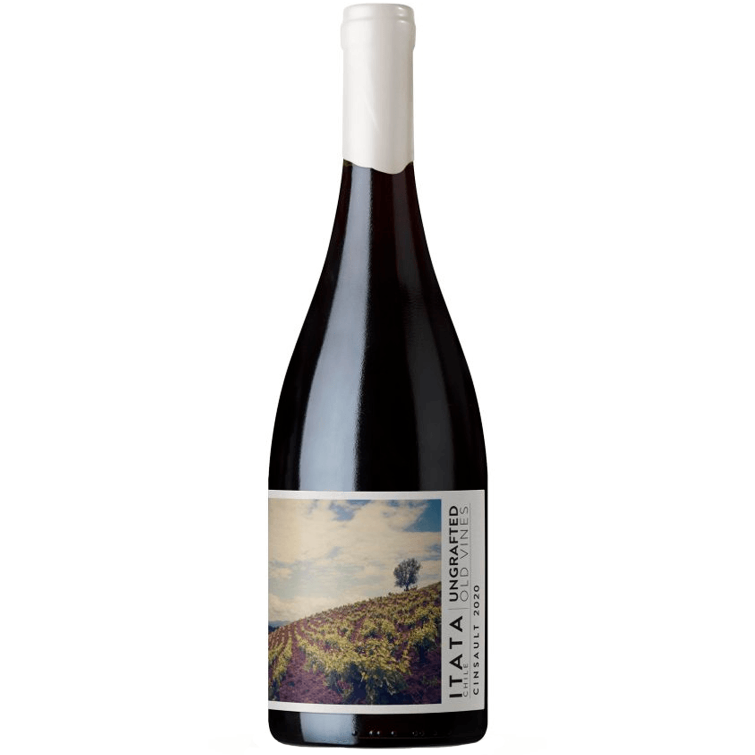 Vinho de Martino Tinto Seco Chile Ungrafted Cinsault 750ml