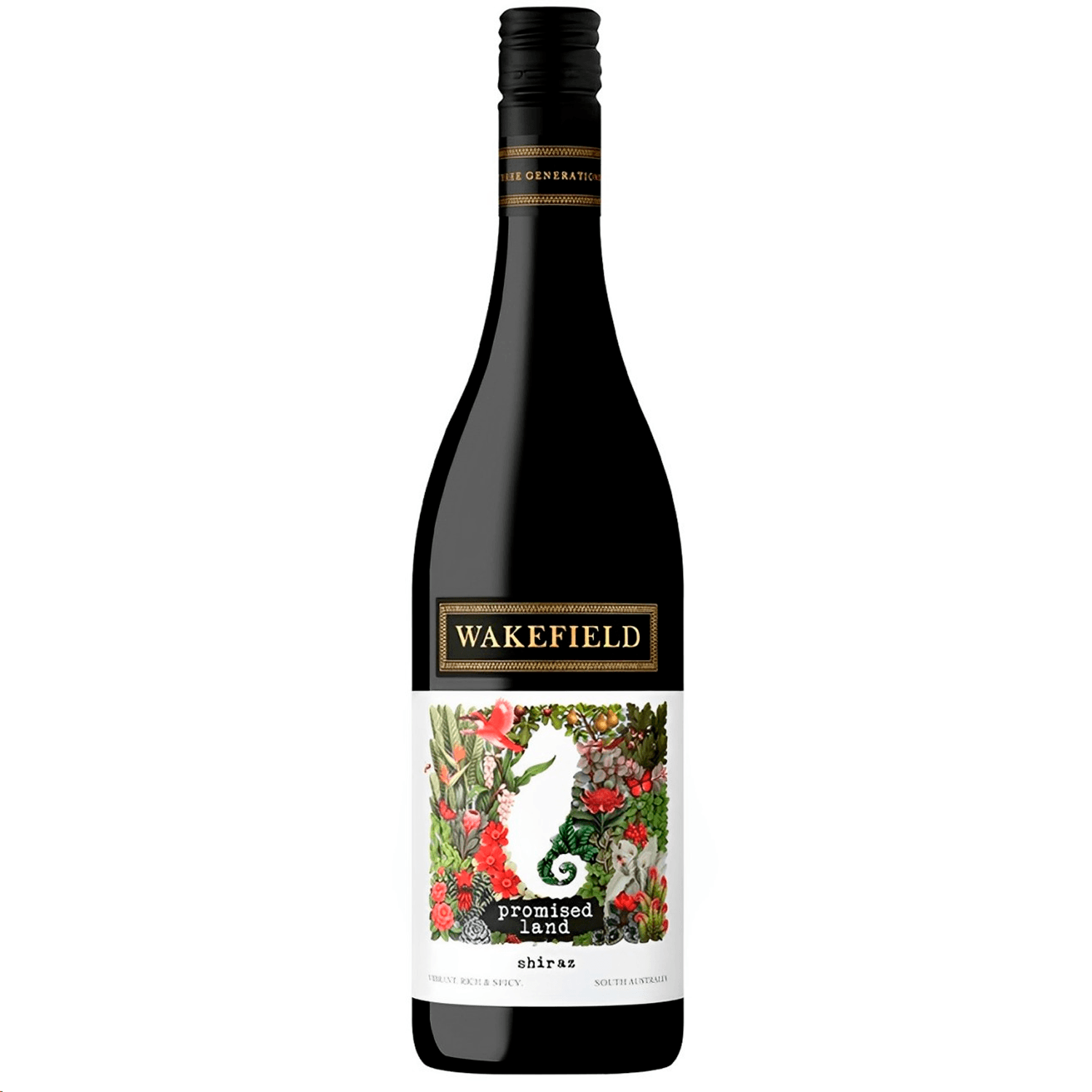 Vinho Tinto Australiano Wakefield Promisse Land Shiraz - Vivavinho