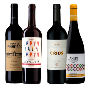 Kit 4 Vinhos Tintos Monte de Pinheiros, 7Colores, Crios e Amore Passo Rosso