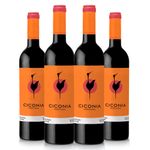 kit-tinto-ciconia-vivavinho.jpg
