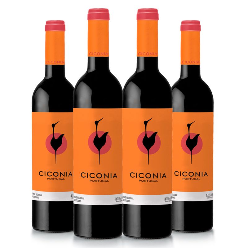 kit-tinto-ciconia-vivavinho.jpg