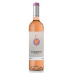 rose-ciconia-vivavinho.jpg