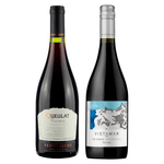 kit-gran-reserva-ventisquero-queulat-pinot-noir-vistamar-eje-pinot-noir-vivavinho