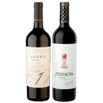 kit-2-vinhos-malbec-susana-balbo-anubis-revancha-vivavinho