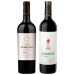 kit-2-vinhos-argentinos-susana-balbo-tradicion--revancha-malbec-vivavinho