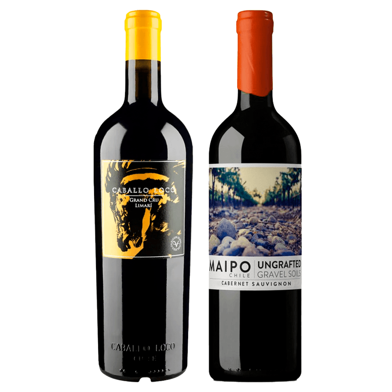 chilenos-caballo-loco-grand-cru-limari-de-martino-ungrafted-cabernet-vivavinho