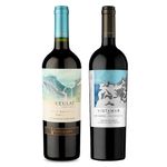 kit-2-vinhos-chilenos-gran-reserva-ventisquero-queulat-syrah--vistamar-eje-red-blend-vivavinho