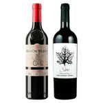 kit-2-vinhos-peninsula-iberica-ramon-bilbao-crianza-sire-doc-vivavinho