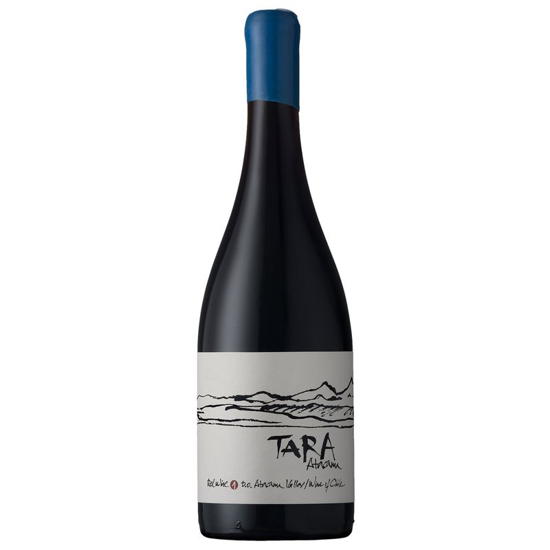 ventisquero-tara-pinot-noir-do-vivavinho