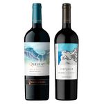 kit-2-vinhos-chilenos-gran-reserva-ventisquero-queulat--vistamar-eje-cabernet-sauvignon