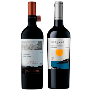Kit 2 Vinhos Chilenos Reservas Ventisquero/ Vistamar Bordevalle Carménère