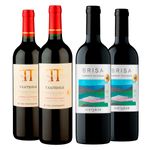 Ventisquero-Tantehue-e-Vistamar-Brisa-Cabernet-vivavinho