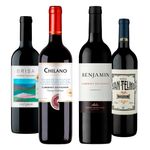 chilano-nieto-senetiner-benjamin-san-telmo-e-vistamar-brisa-cabernet-vivavinho