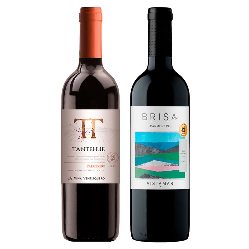 kit-ventisquero-tantehue-vistamar-brisa-carmenere-vivavinho