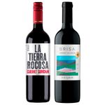 chilenos-la-tierra-rocosa-vistamar-brisa-cabernet-sauvignon-vivavinho