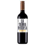 la-tierra-rocosa-carmenere-vivavinho