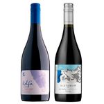 kalfu-kuda-gran-reserva-pinot-noir-vistamar-eje-gran-reserva-vivavinho