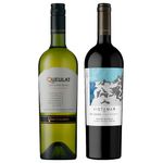 gran-reserva-ventisquero-queulat-sauvignon-blanc-vistamar-eje-gran-reserva-red-blend-vivavinho