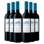 kit-de-vinhos-tintos-quinta-de-bons-ventos-c-6-garrafas-vivavinho