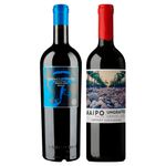 chileno-caballo-loco-grand-cru-apalt-ungrafted-de-martino-cabernet-sauvignon-vivavinho