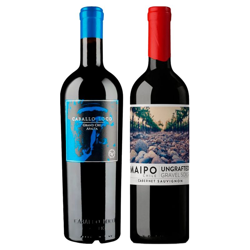 chileno-caballo-loco-grand-cru-apalt-ungrafted-de-martino-cabernet-sauvignon-vivavinho